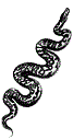 [python]