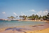 Image thumbnail