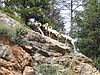 Image thumbnail