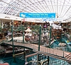 Image thumbnail