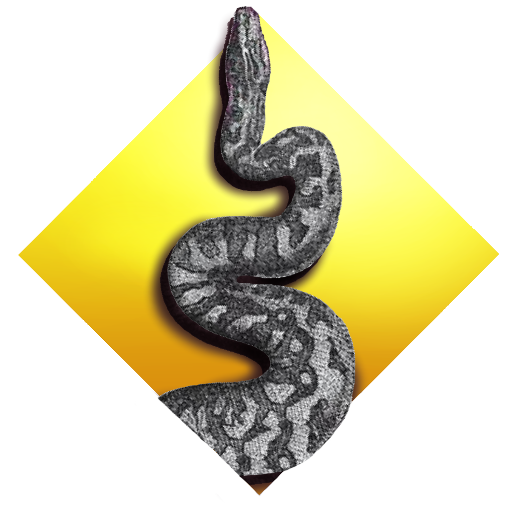 Логотип языка python. Питон 3d. Значок питона. Знаки в питоне. Язык питон символ.